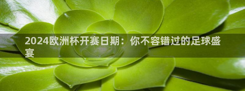 欧洲杯投注官方网站：2024欧洲杯开赛日期：你不容错过的足球盛
宴