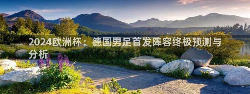 2024欧洲杯官方网站首页：2024欧洲杯：德国男足首发阵容终极预测与
分析