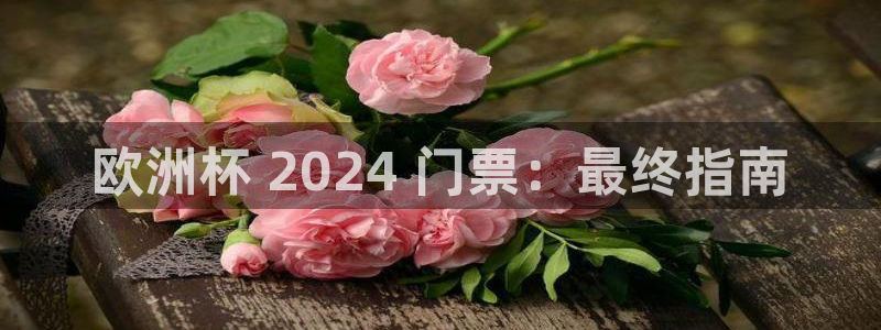 买欧洲杯的竞猜在那个app|欧洲杯 2024 门票：最终指南