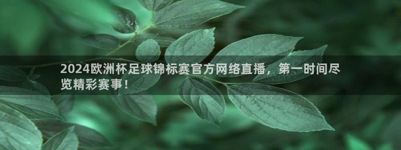 欧洲杯竞猜软件|2024欧洲杯足球锦标赛官方网络直播，第一时间尽
览精彩赛事！