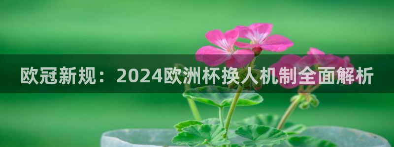 2024欧洲杯买球推荐|欧冠新规：2024欧洲杯换人机制全面解析