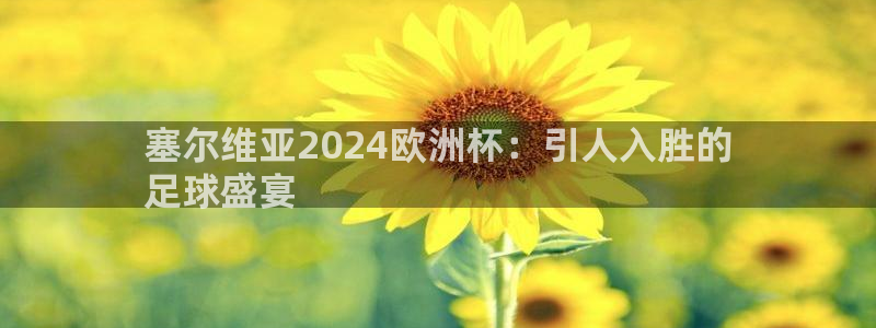 十大靠谱外围买球网站|塞尔维亚2024欧洲杯：引人入胜的
足球盛宴