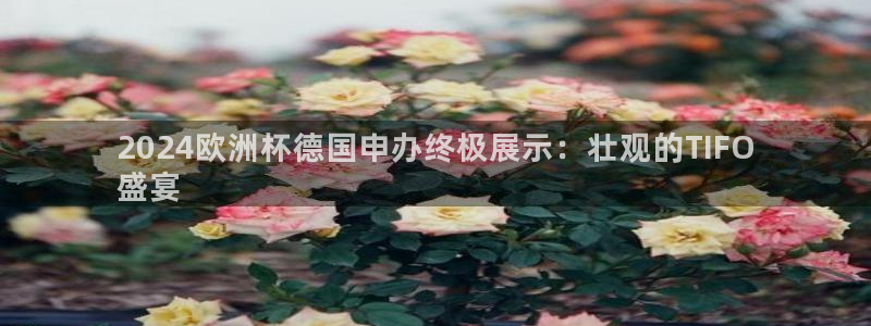 欧洲杯官网|2024欧洲杯德国申办终极展示：壮观的TIFO
盛宴