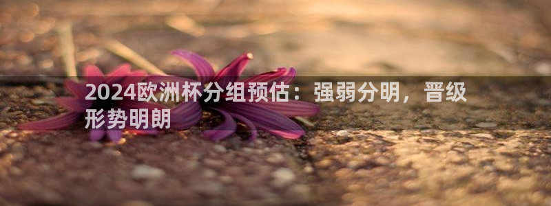 欧洲杯最新赛程