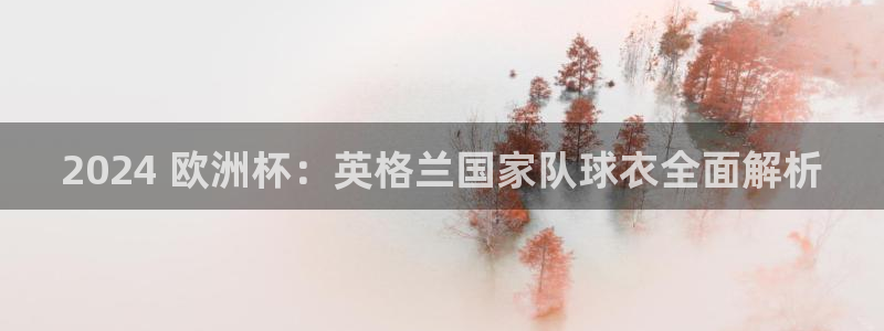 欧洲杯哪里买球靠谱|2024 欧洲杯：英格兰国家队球衣全面解析