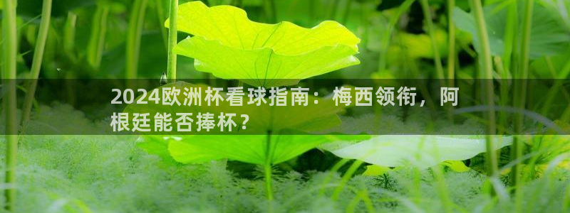 欧洲杯官网