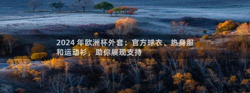 欧洲杯网站