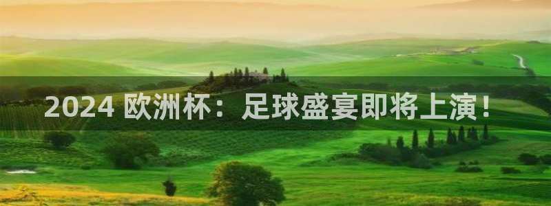 welcome欧洲杯|2024 欧洲杯：足球盛宴即将上演！