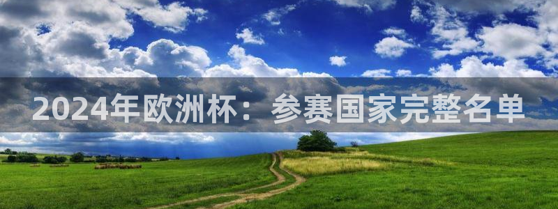 2024欧洲杯买球推荐|2024年欧洲杯：参赛国家完整名单