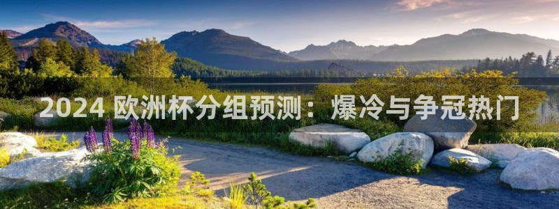欧洲杯哪里买球靠谱|2024 欧洲杯分组预测：爆冷与争冠热门
