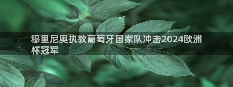 欧洲杯投注推荐网站|穆里尼奥执教葡萄牙国家队冲击2024欧洲
杯冠军
